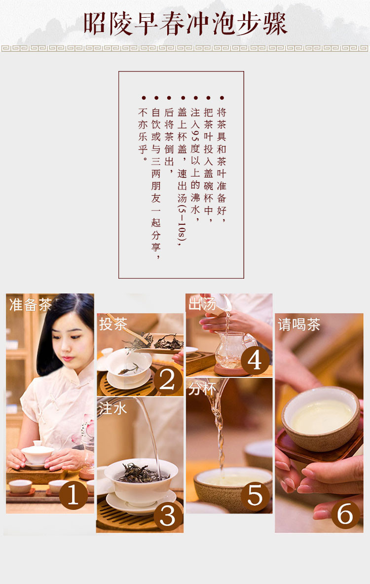 昭陵 绿芝 早春绿茶