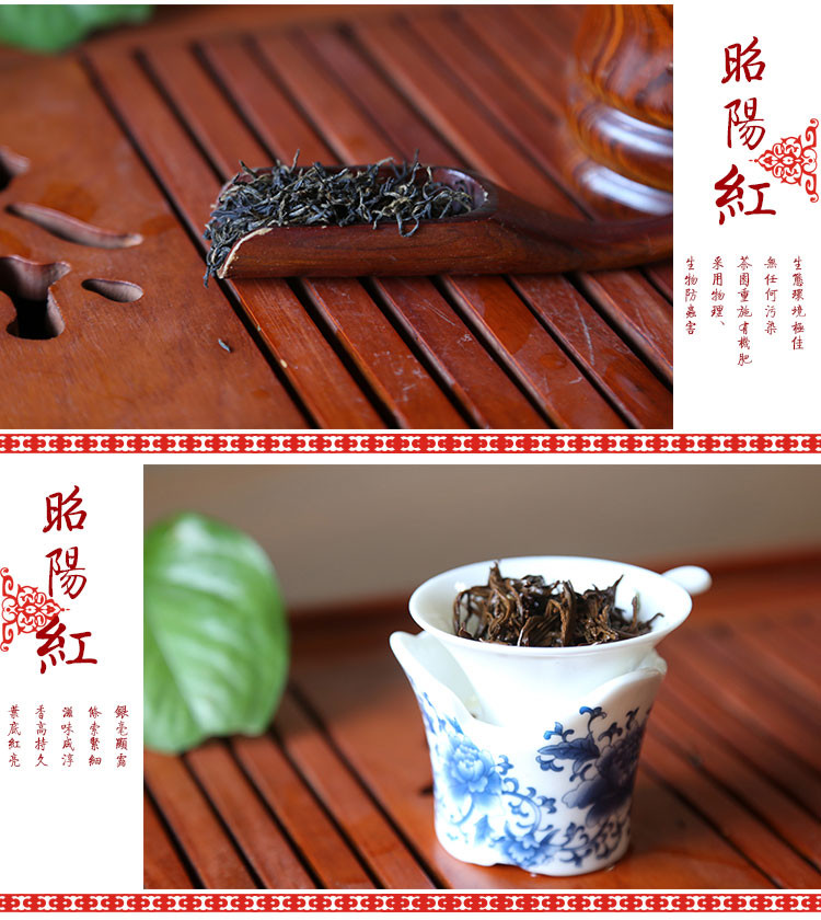 昭陵 绿芝 昭阳红红茶