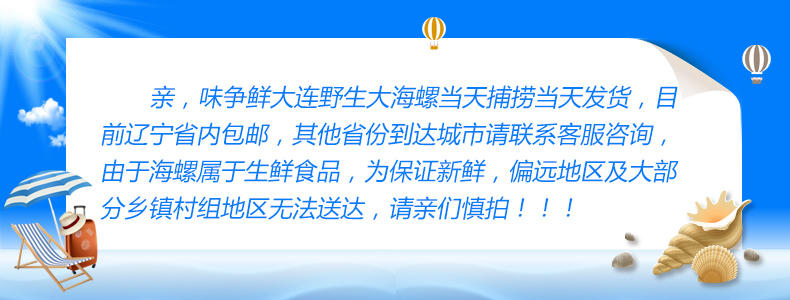 鲜活大海螺新鲜野生海螺大连海鲜水产贝类当天捕当天发其他