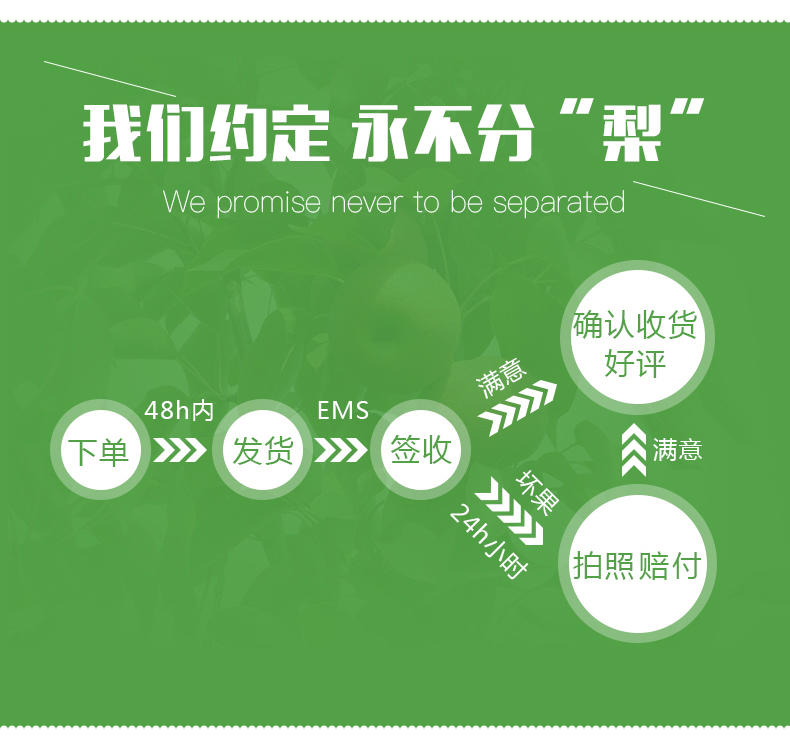 鞍山南果梨东北特产南国梨 9.9元 辽宁省内包邮 其他