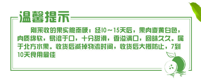 鞍山南果梨 东北特产 新鲜水果 5斤包邮 南国梨 其他