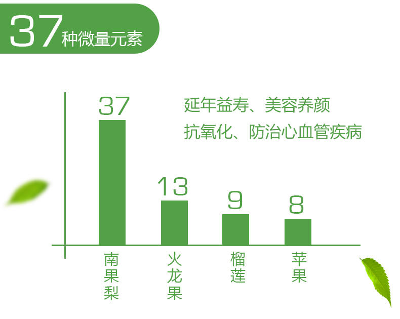 鞍山南果梨 东北特产 新鲜水果 5斤包邮 南国梨 其他