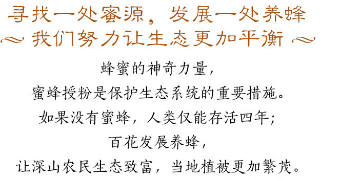 林州特产红旗渠老字号农家自产土蜂蜜纯天然野生百花蜜无添加1斤