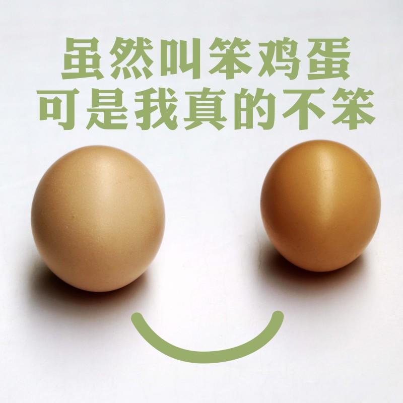 林州红旗渠特产山区新鲜土鸡蛋正宗散养柴鸡蛋纯天然笨鸡蛋30枚