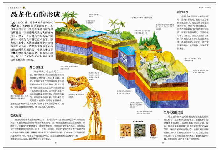 正版 权威恐龙大百科 中国少年儿童百科全书 中小学课外书  学生课外读物畅销书籍 汕头大学出版社 开拓大视野