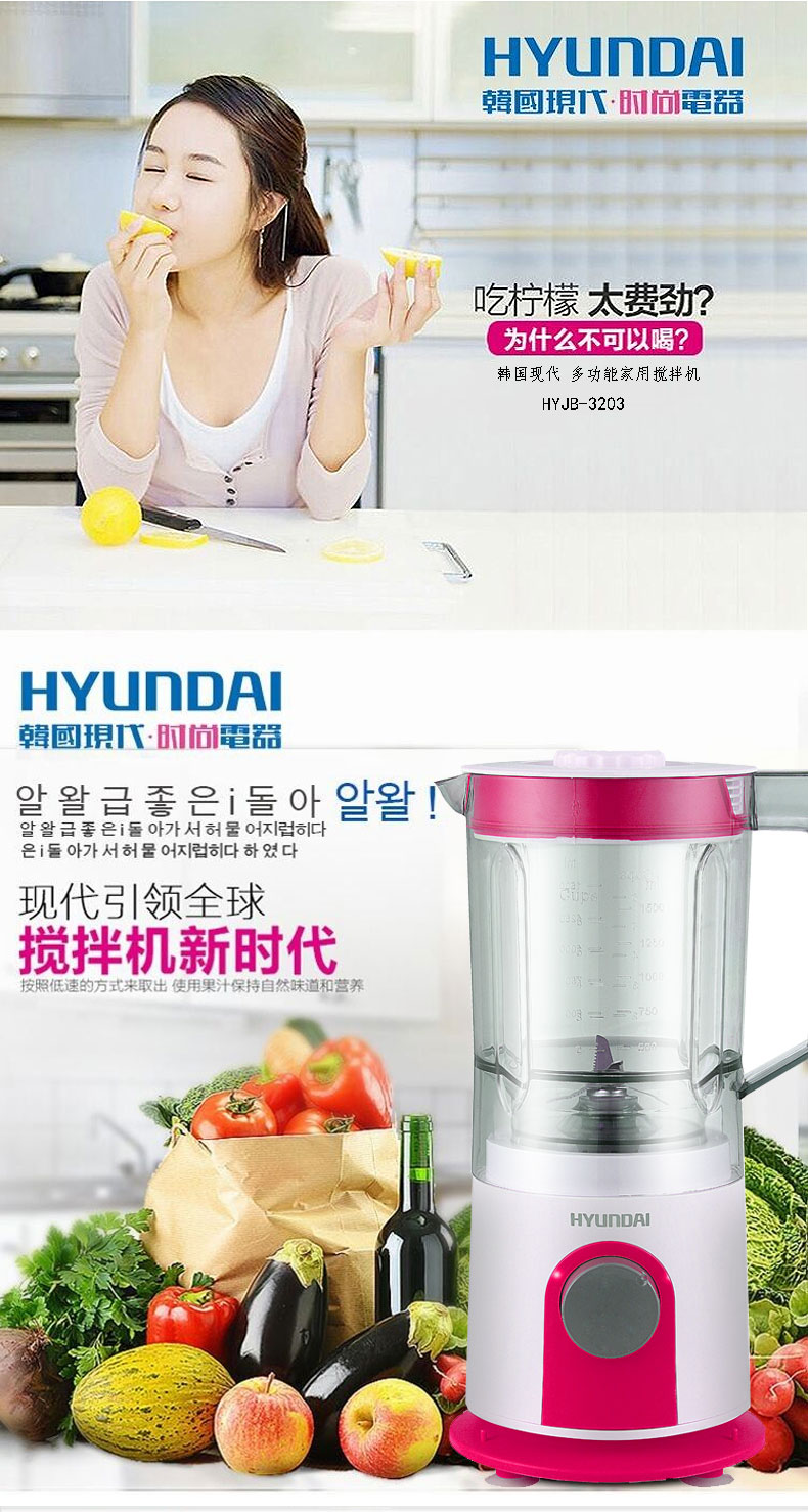 现代/HYUNDAI 多功能家用搅拌机  HYJB-3203