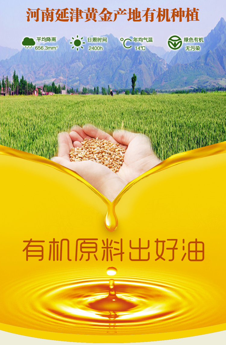 【帝麦】初冷榨小麦胚芽油食用油500ml天然植物油富含维生素E