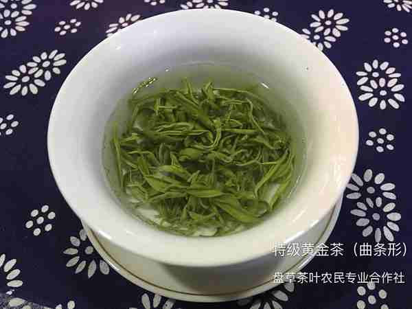 保靖黄金茶（特级单芽）