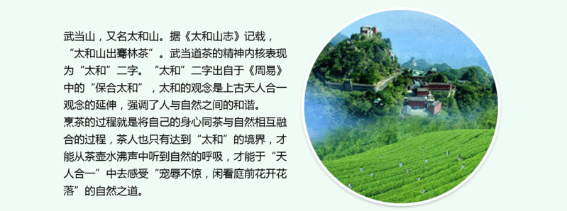 【竹山馆】问玄·武当道茶（促销装）