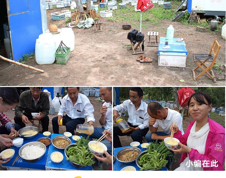 【黑龙江双鸭山市宝清县】映山红黑蜂椴树蜜500克全国包邮西藏青海新疆除外