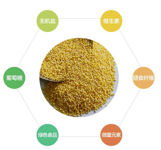 添逸源  正宗东北特产农家黄小米