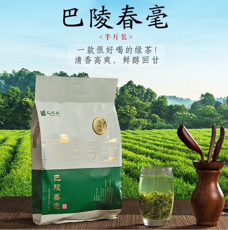 【岳阳馆】巴陵春新茶叶2019绿茶毛尖特级嫩芽君山沩山高山云雾明前春茶袋装