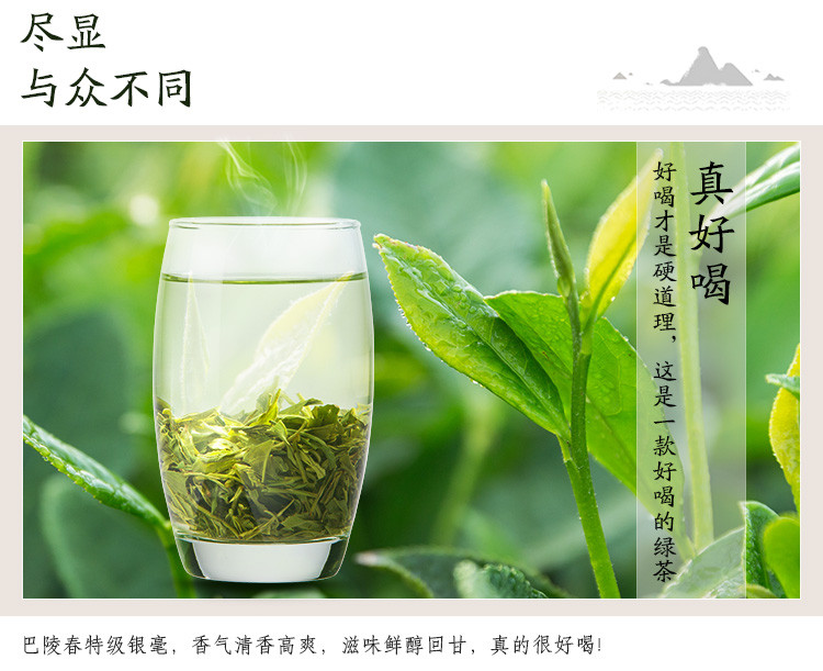 【岳阳馆】巴陵春新茶叶2019绿茶毛尖特级嫩芽君山沩山高山云雾明前春茶袋装