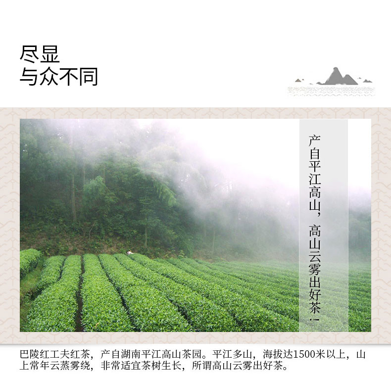 【岳阳馆】巴陵春 巴陵红 228g实惠大袋装红茶 办公茶家用茶口粮茶