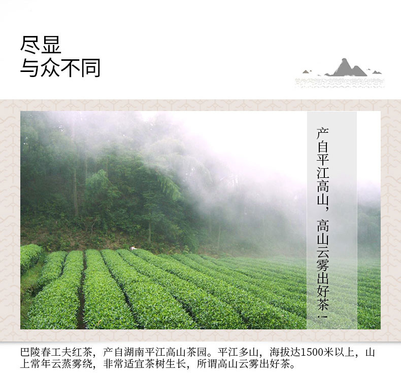 【岳阳馆】巴陵春 工夫红茶 128g罐装名优茶 办公茶家用茶口粮茶