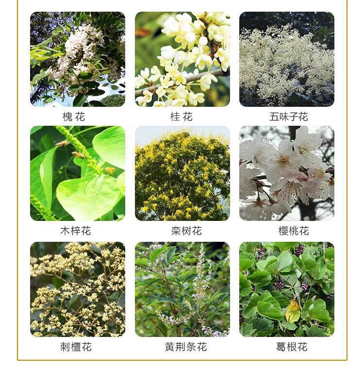 【松滋馆】卸甲坪高山农家土蜜蜂 荆条蜜 500g