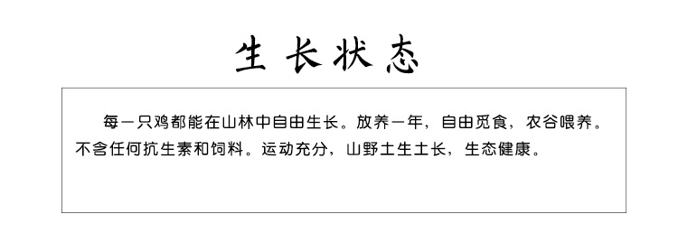 松滋荆奇 正宗新鲜土鸡农家山林散养天然自养老母鸡柴鸡走地鸡笨鸡月子鸡