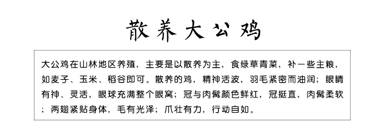 松滋荆奇 散养公鸡 粮食喂养农家大公鸡土公鸡公鸡农家散养放养包邮生鸡肉