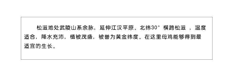 松滋荆奇 正宗新鲜土鸡农家山林散养天然自养老母鸡柴鸡走地鸡笨鸡月子鸡