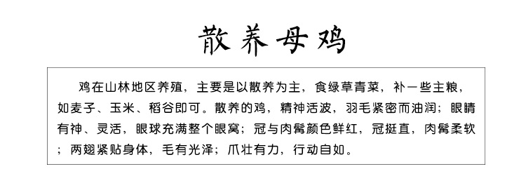 松滋荆奇 正宗新鲜土鸡农家山林散养天然自养老母鸡柴鸡走地鸡笨鸡月子鸡