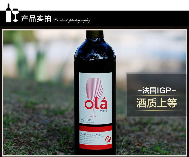 欧啦 法国原瓶原装进口红酒2013珍品世界杯干红葡萄酒
