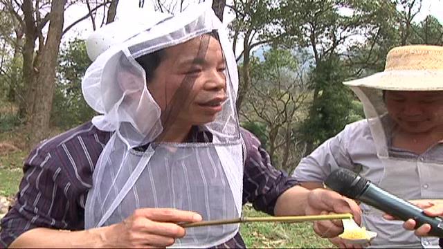 浙人蜂蜜 高山土蜂蜜 原汁原味原生态