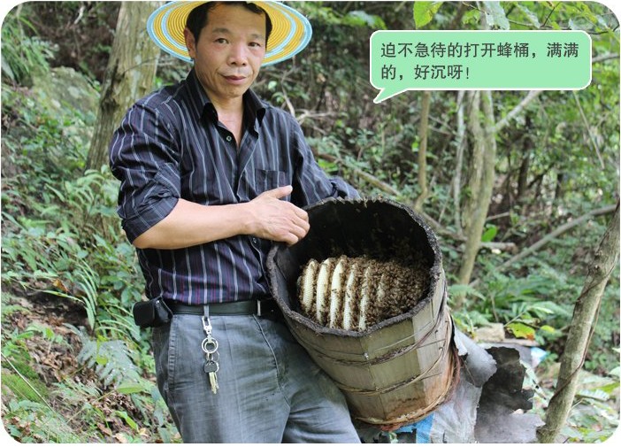 浙人蜂蜜 高山土蜂蜜 原汁原味原生态