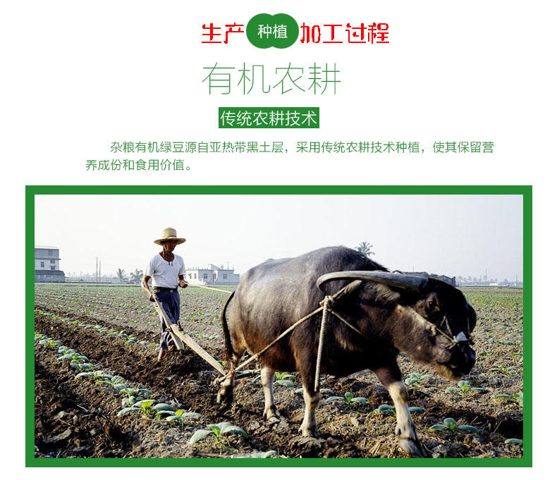 鸿兴米业绿豆0.8斤（新疆，青海，西藏除外）