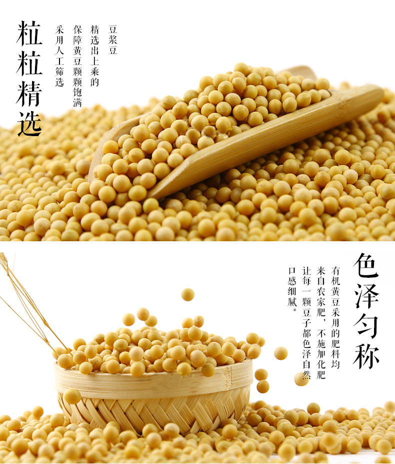 鸿兴米业黄豆1斤（新疆，青海，西藏除外）