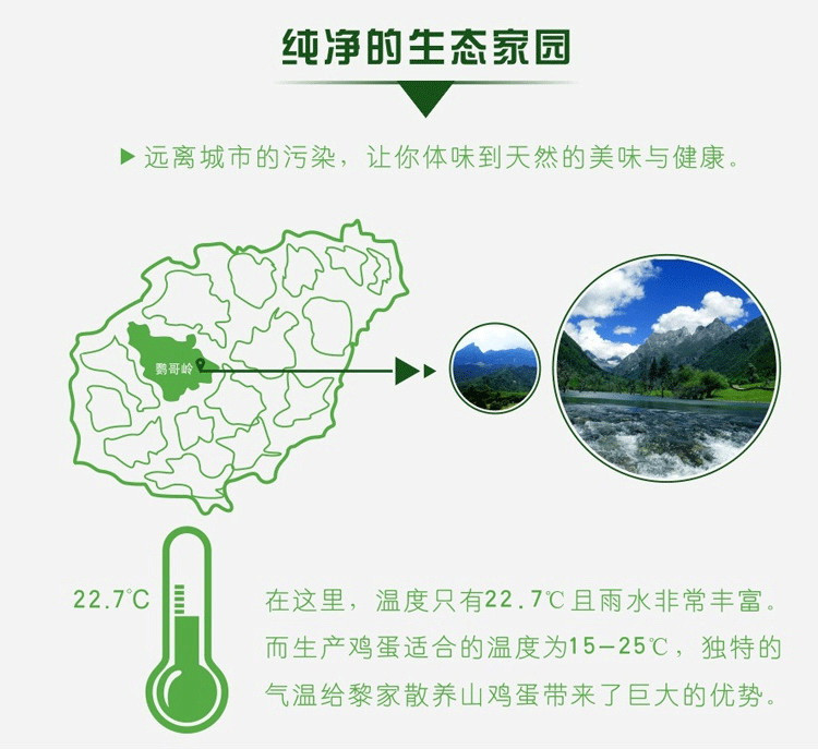 【海南白沙馆】海南白沙富涵土鸡蛋虫草蛋柴鸡蛋笨鸡蛋25枚无公害农村散养