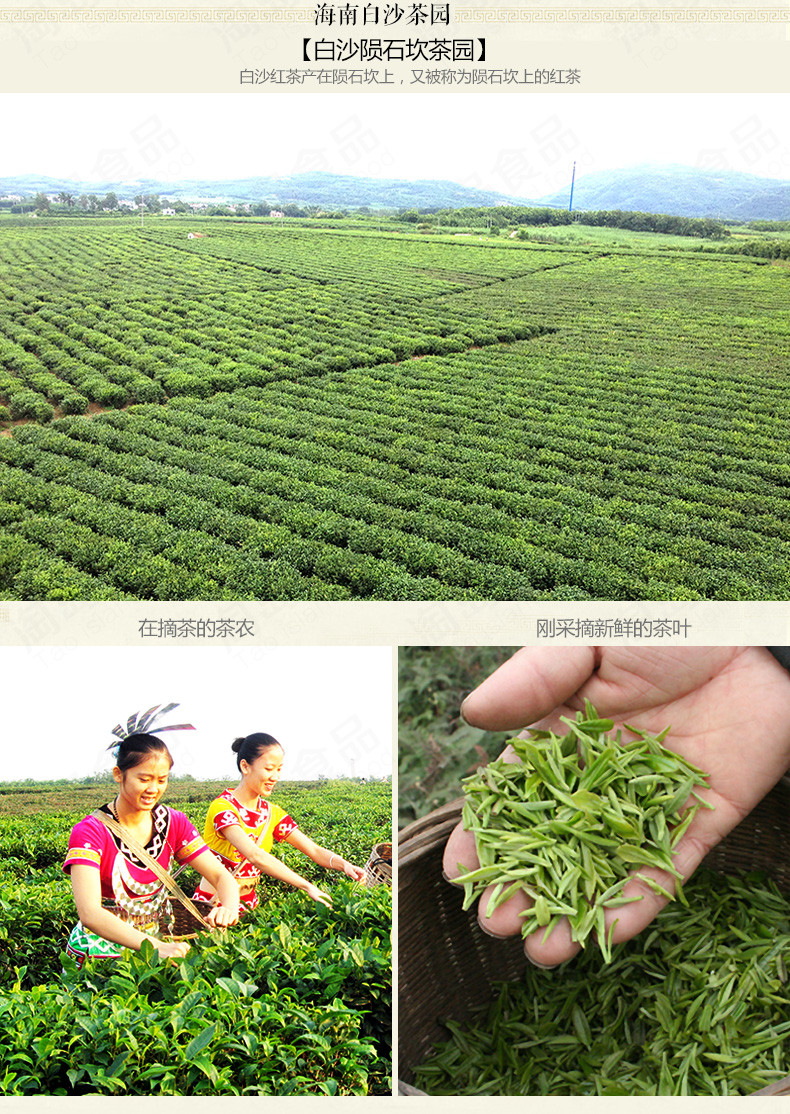 【海南白沙馆】海南白沙红茶方铁盒装100g