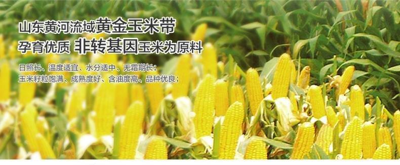 【邮乐平顶山】明轩牌 （仅限河南省内购买）玉米胚芽油 4.5L 包邮