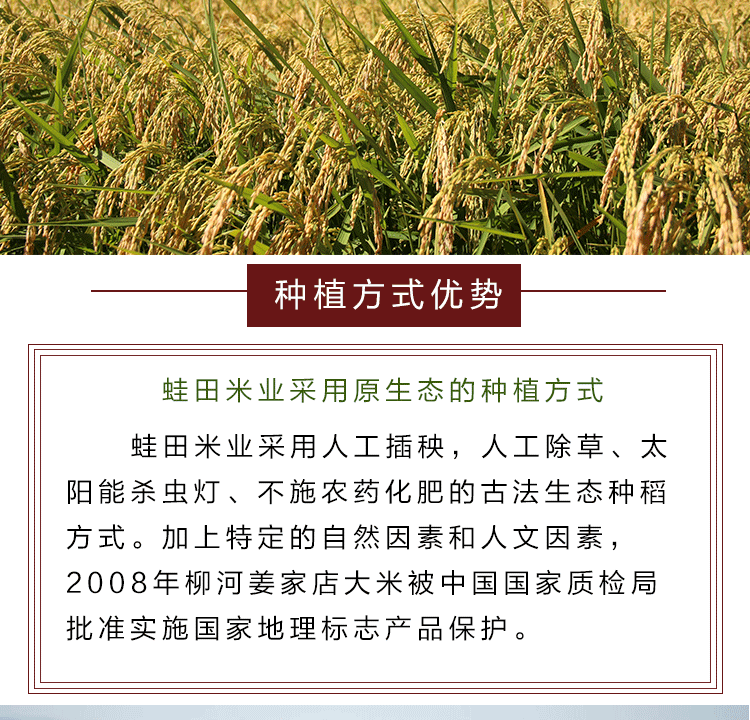 正宗东北吉林柳河姜家店大米蛙田贡米火山岩大米新米5KG袋装10斤