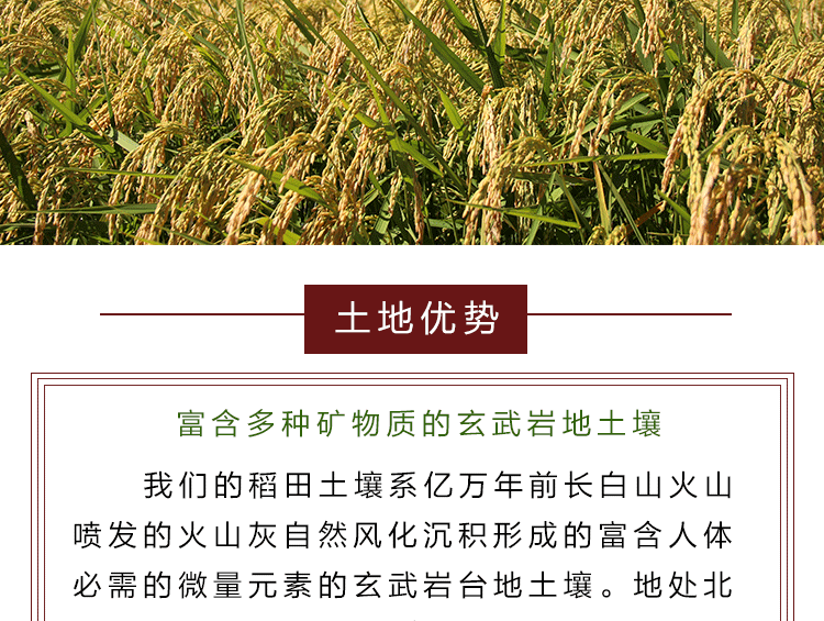 正宗东北吉林姜家店大米蛙田贡米有机大米稻花香新米4KG礼盒包邮