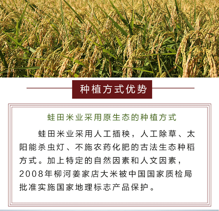 正宗东北吉林柳河姜家店大米蛙田贡米绿色稻花香新米10KG箱装20斤