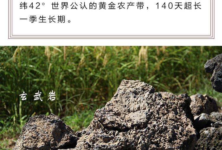 东北吉林柳河姜家店大米蛙田贡米有机火山岩稻花香新米5KG礼盒