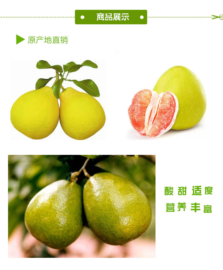 【双11特卖包邮】广安龙安柚（精品果）（2个装）
