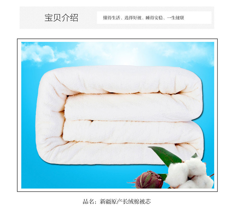 戈壁棉业 新疆长绒棉纯棉床垫床褥3斤超薄床垫