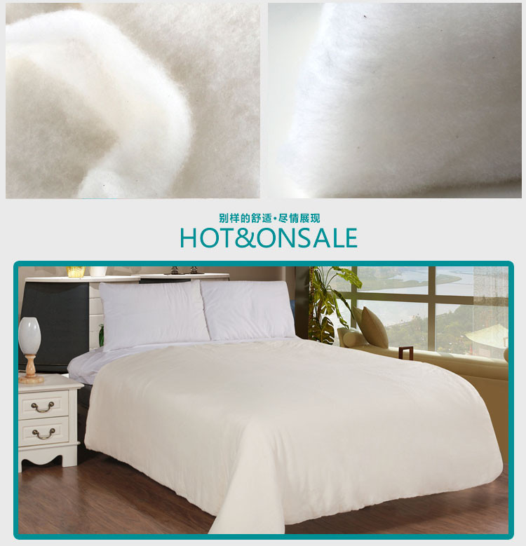 戈壁棉业 新疆纯棉被芯长绒棉5斤冬被双人床被芯