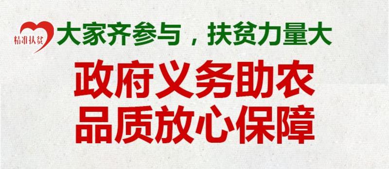 【助农扶贫】金菊顶乌桕蜜500g 无添加天然纯野生农家自产土蜂蜜 产于郁南金菊顶大山的蜂蜜