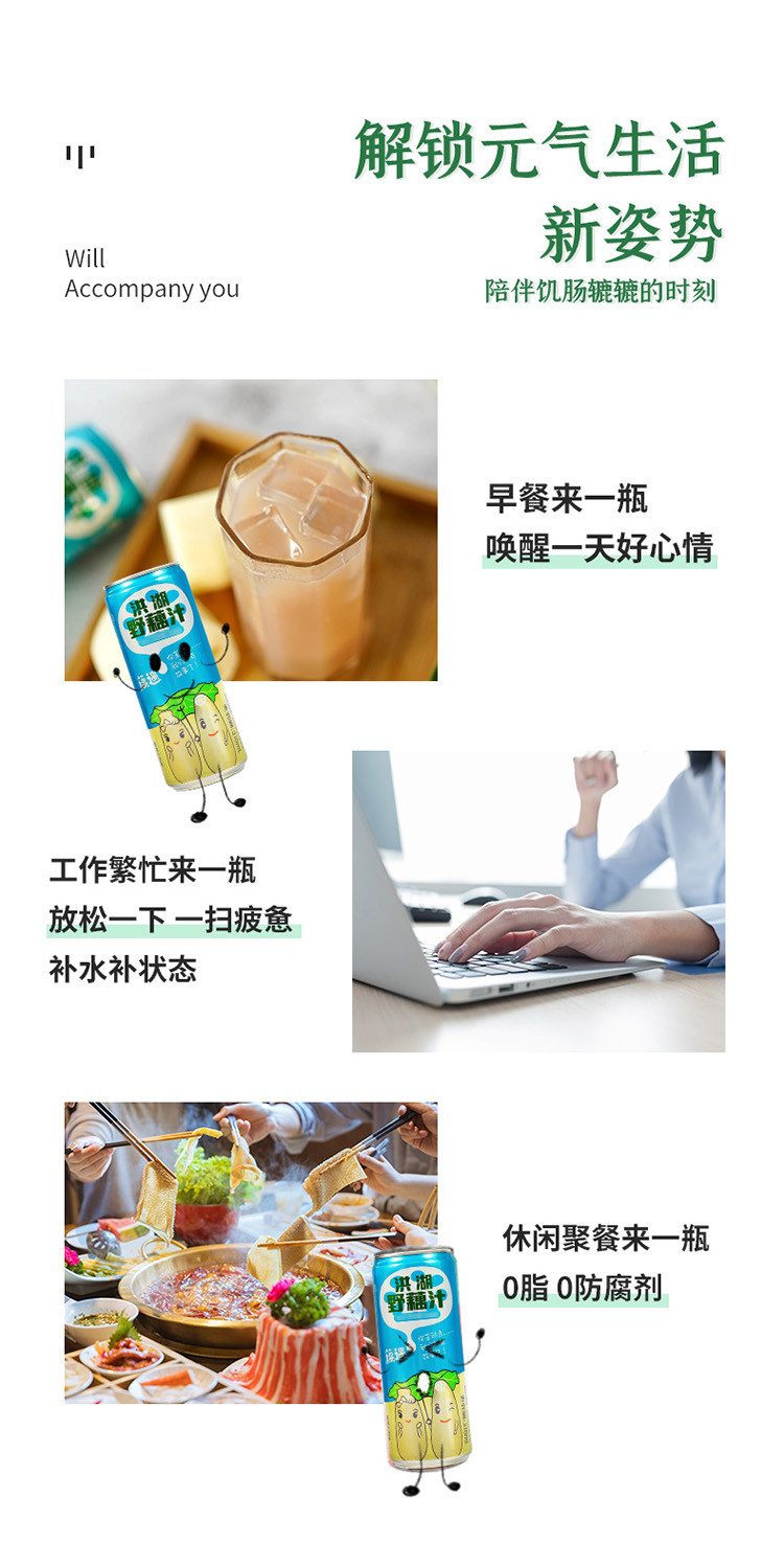 【洪湖馆】华贵野藕汁礼盒310ml*12瓶优惠装复合植物蛋白饮料湖北特产