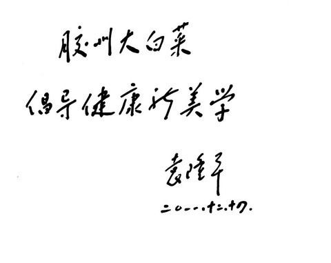 【预售】【青岛馆】盛河牌大白菜 正宗胶州大白菜2棵精品装（山东省内包邮）