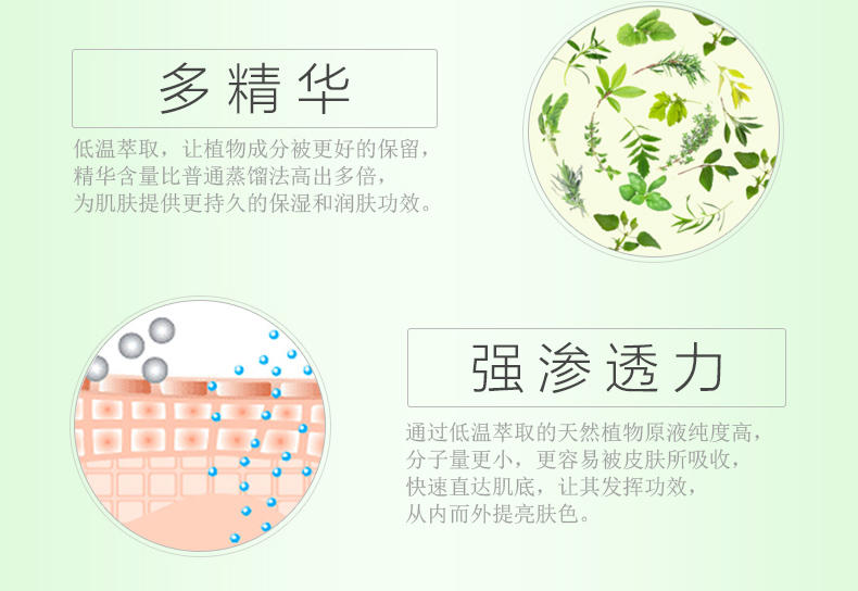 百雀羚气韵水嫩倍现能量精华露