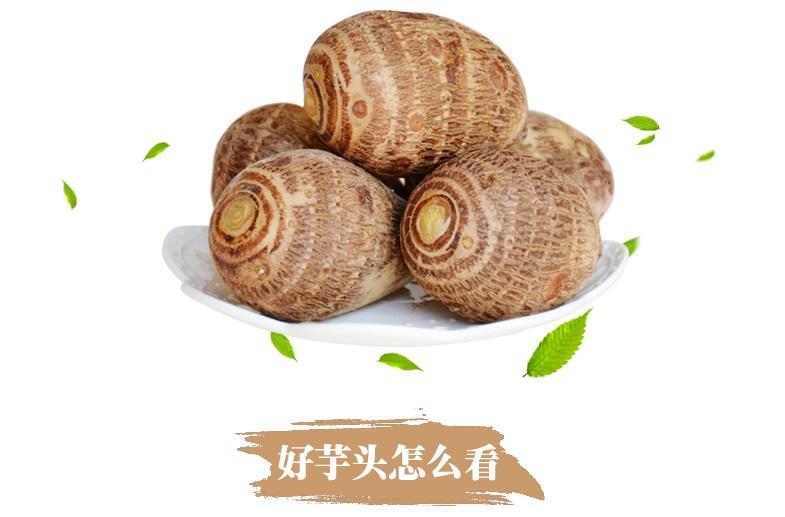 【邮乐河南】鲁庄芋头1.5kg 河南特产 郑州巩义 农家自产 天然健康 全国包邮