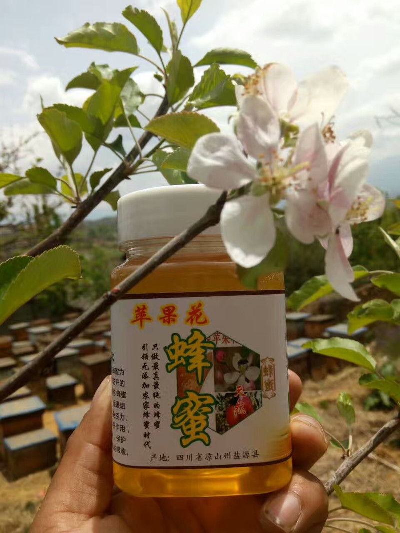 凉山盐源邮政 苹果花、洋槐花蜂蜜