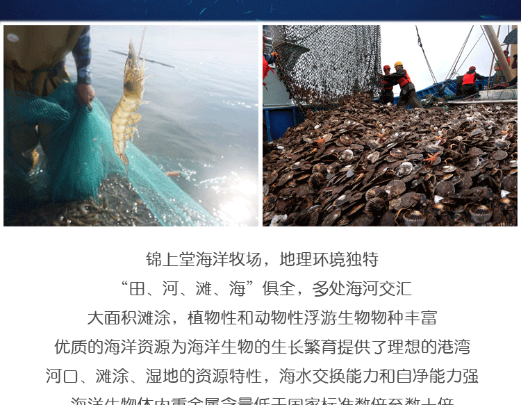 【锦州馆】锦上堂海蜇丝500g袋装野生盐渍海蜇皮开袋即食凉拌包邮