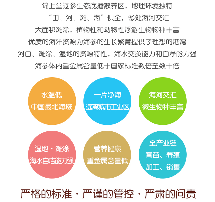 【锦州馆】锦上堂即食海参500g每袋新鲜单个装速冻野生辽刺参空运包邮同大连