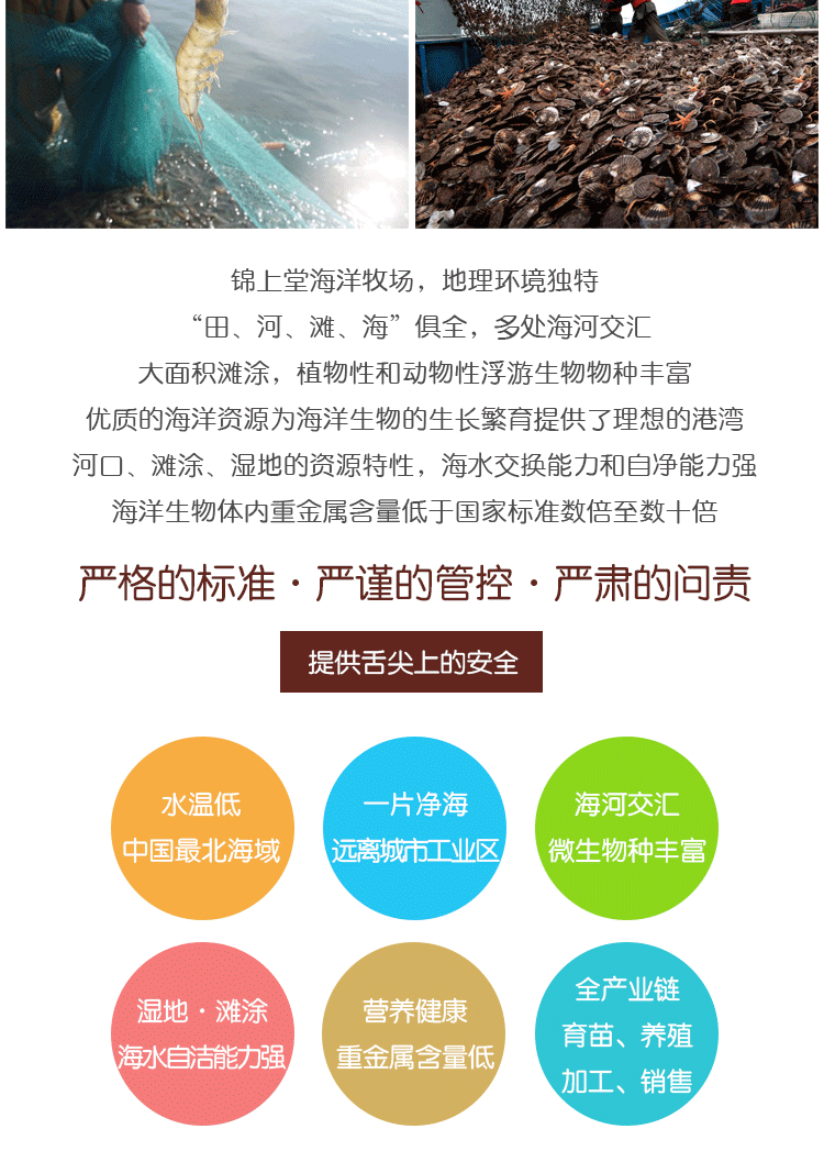 【锦州馆】锦上堂海蜇头500g袋装盐渍野生海蜇头即食干货新鲜爽口凉拌包邮