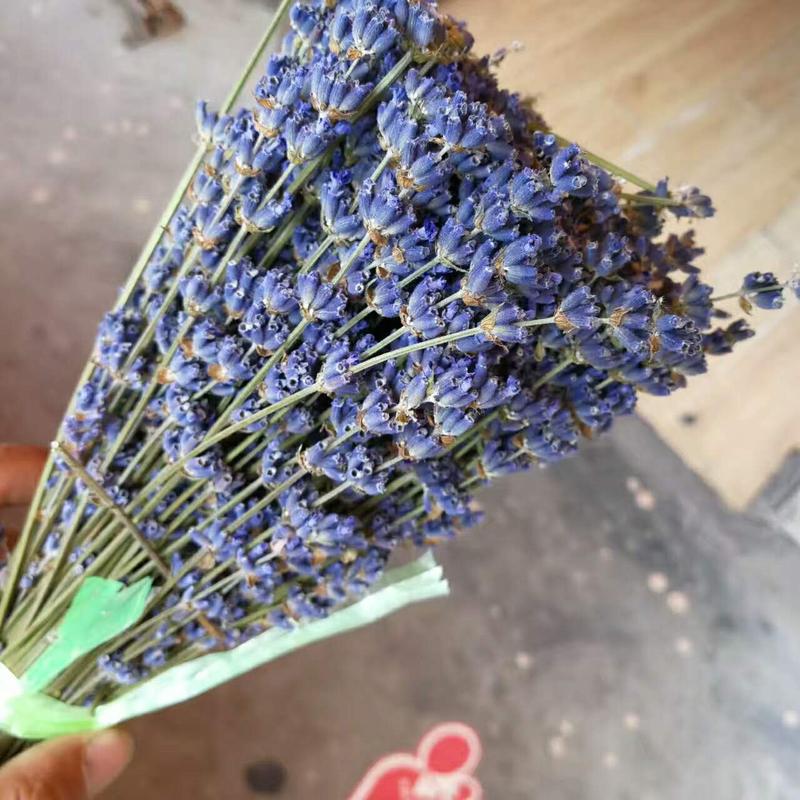 霍城馆 疆颂 薰衣草干花花束