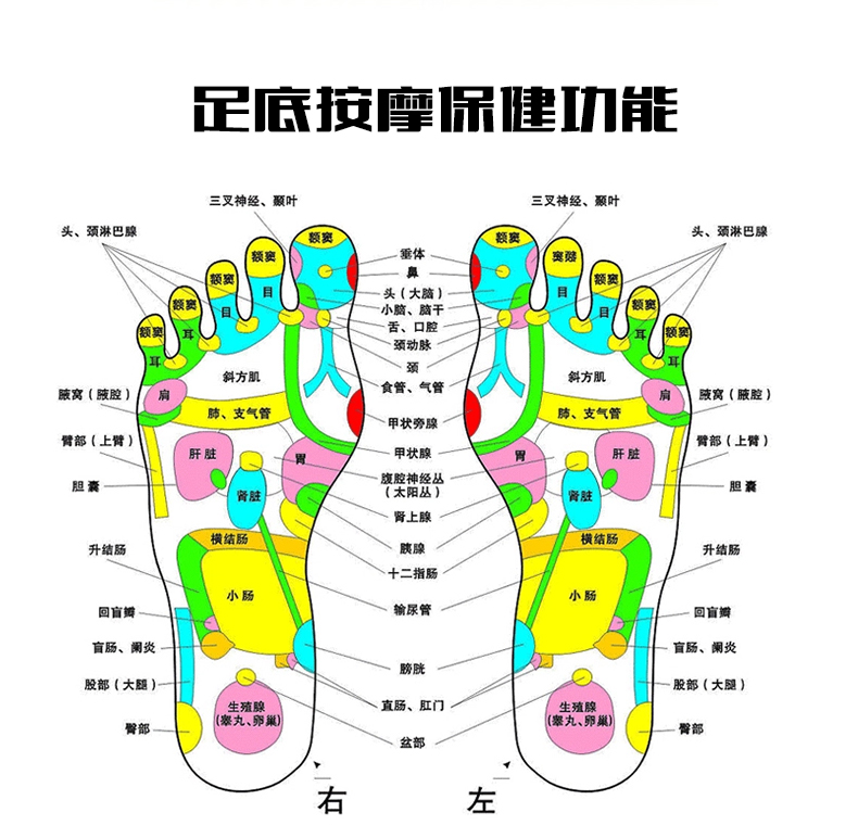 艾米娅 双弹簧减肥塑身扭腰机跳舞机家用运动器材踏步机健身扭扭乐扭腰盘